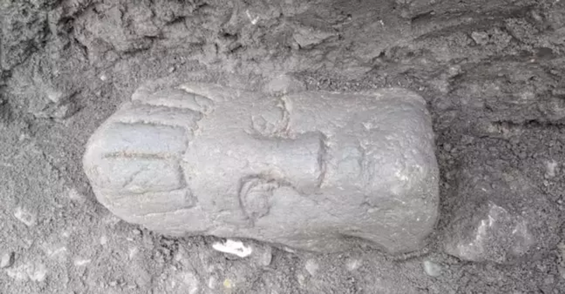 Duas cabeças esculpidas romanas foram descobertas em uma escavação arqueológica em Carlisle - Sputnik Brasil, 1920, 26.05.2023