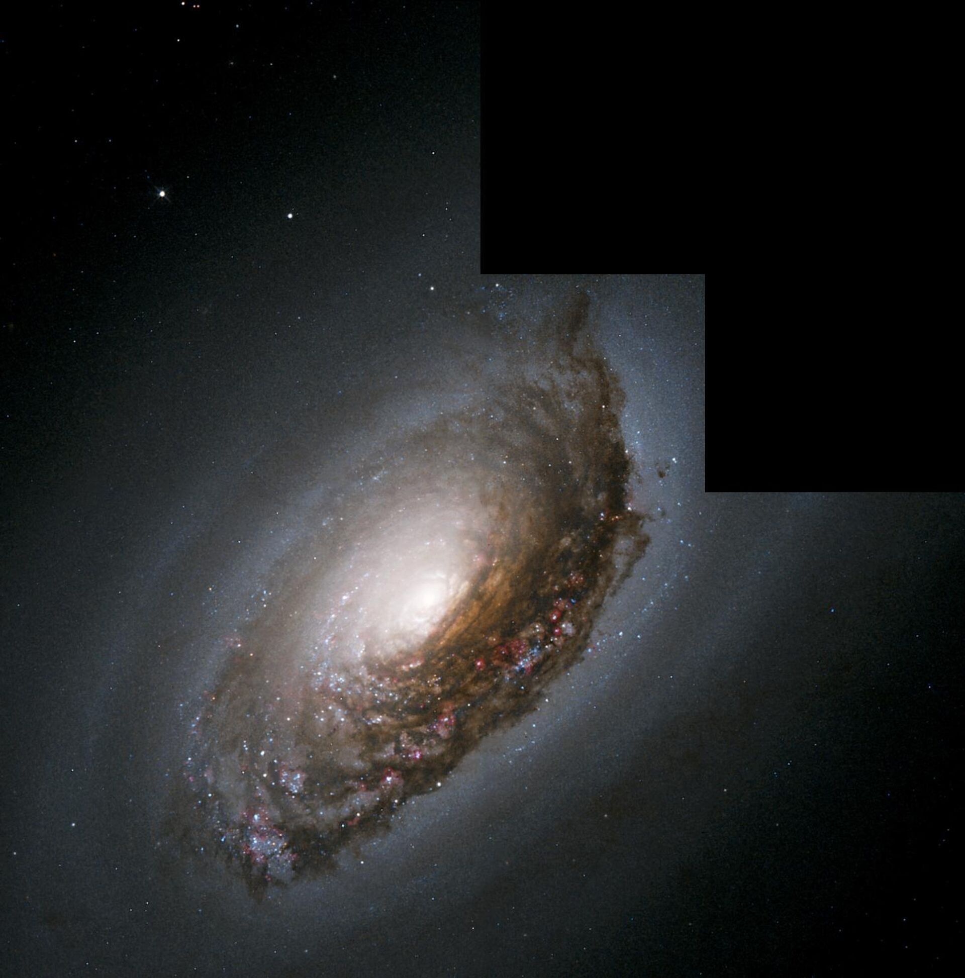 Galáxia M64 - Sputnik Brasil, 1920, 30.05.2023
