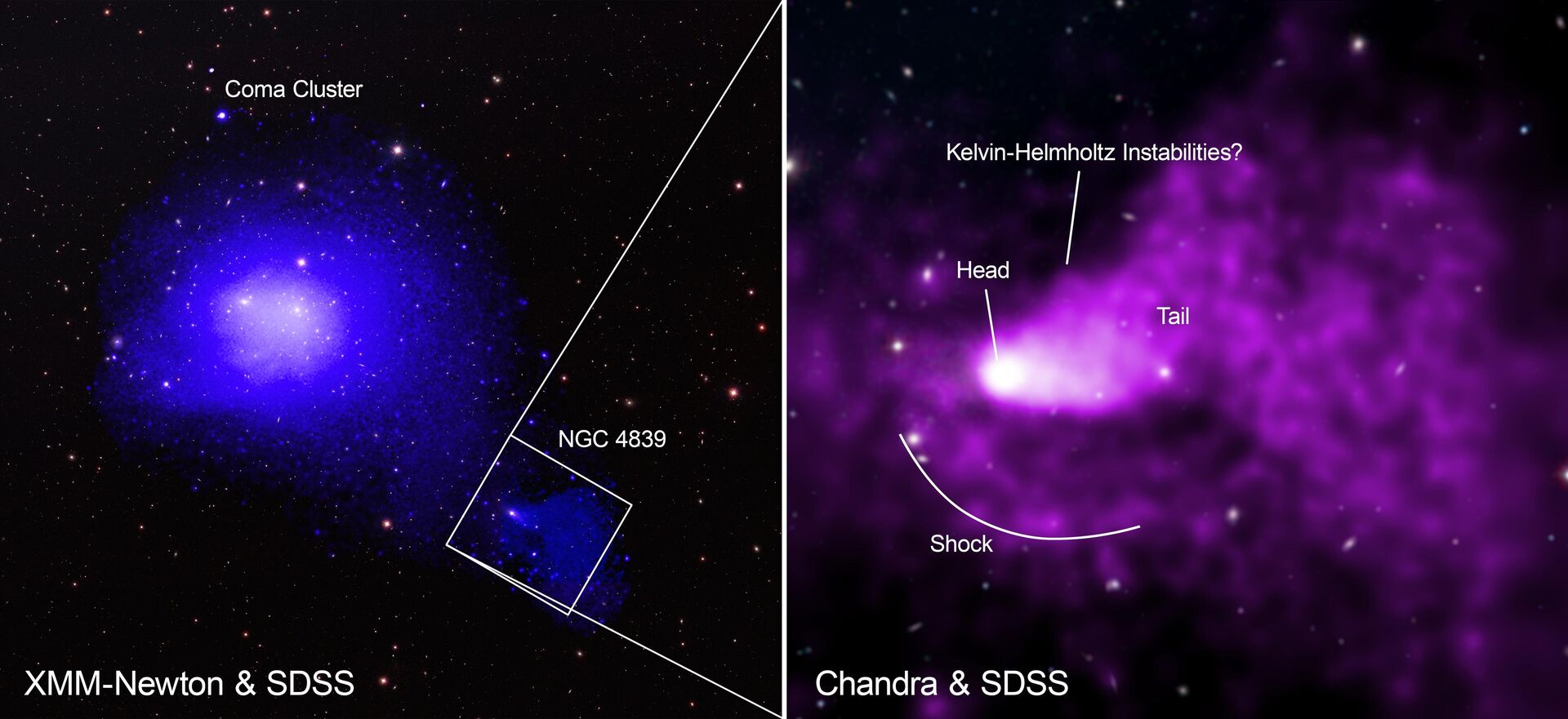 Na imagem à esquerda, a visão de raios-X mostra o aglomerado Coma através do XMM-Newton da Agência Espacial Europeia, com o grupo NGC 4836 no canto inferior direito. Na imagem à direita, é possível observar a cabeça da cauda do grupo de galáxias em meio ao gás mais denso - Sputnik Brasil, 1920, 09.06.2023