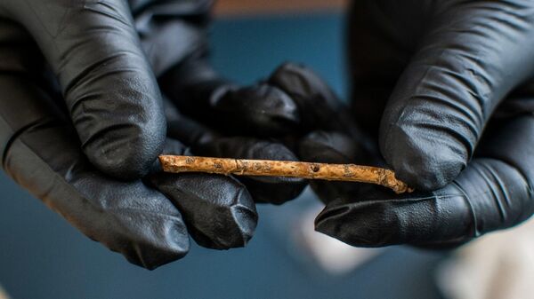 Flautas feitas com ossos de pássaros pré-históricos são encontradas em Israel - Sputnik Brasil