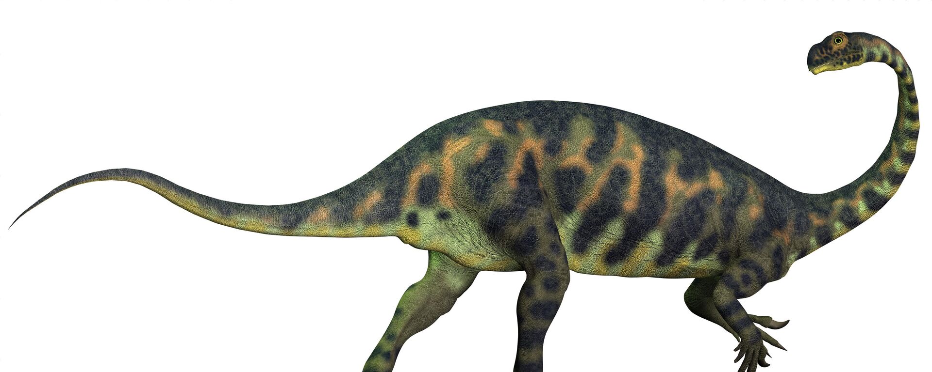 Dinossauro herbívoro Massospondylus - Sputnik Brasil, 1920, 15.06.2023