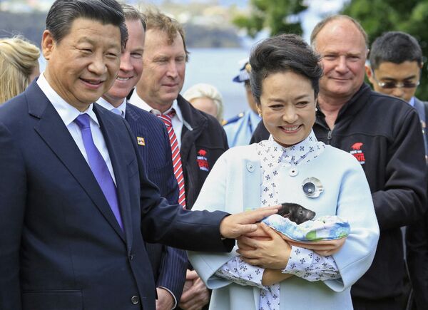 O presidente chinês Xi Jinping e sua esposa Peng Liyuan, em 2014. - Sputnik Brasil