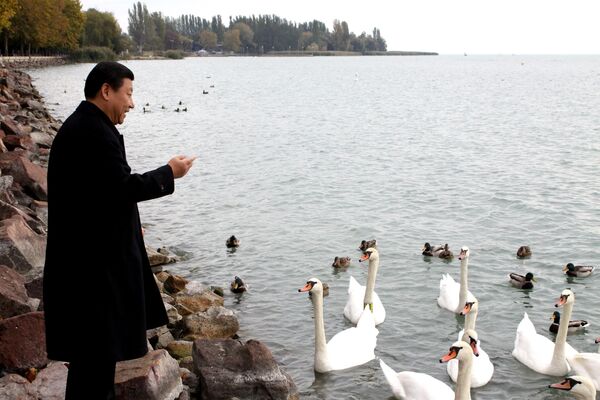 O vice-presidente chinês Xi Jinping alimenta cisnes durante sua visita ao lago Balaton, na Hungria, em 17 de outubro de 2009. - Sputnik Brasil