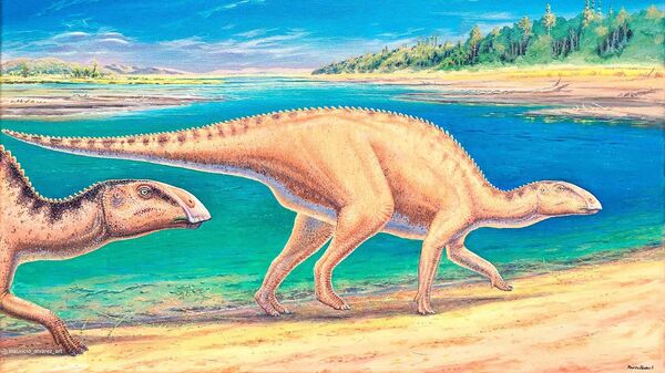 Um estudo revelou a descoberta de um dinossauro com bico de pato, que vagou pelas planícies fluviais remotas da Patagônia chilena há 72 milhões de anos - Sputnik Brasil