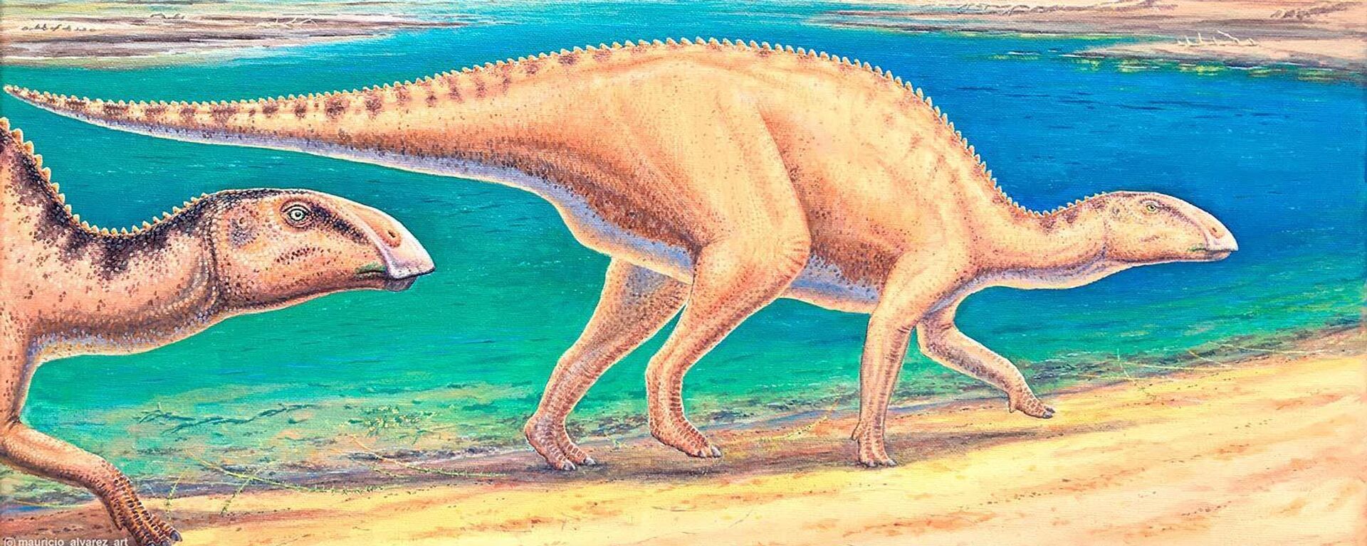 Um estudo revelou a descoberta de um dinossauro com bico de pato, que vagou pelas planícies fluviais remotas da Patagônia chilena há 72 milhões de anos - Sputnik Brasil, 1920, 19.06.2023