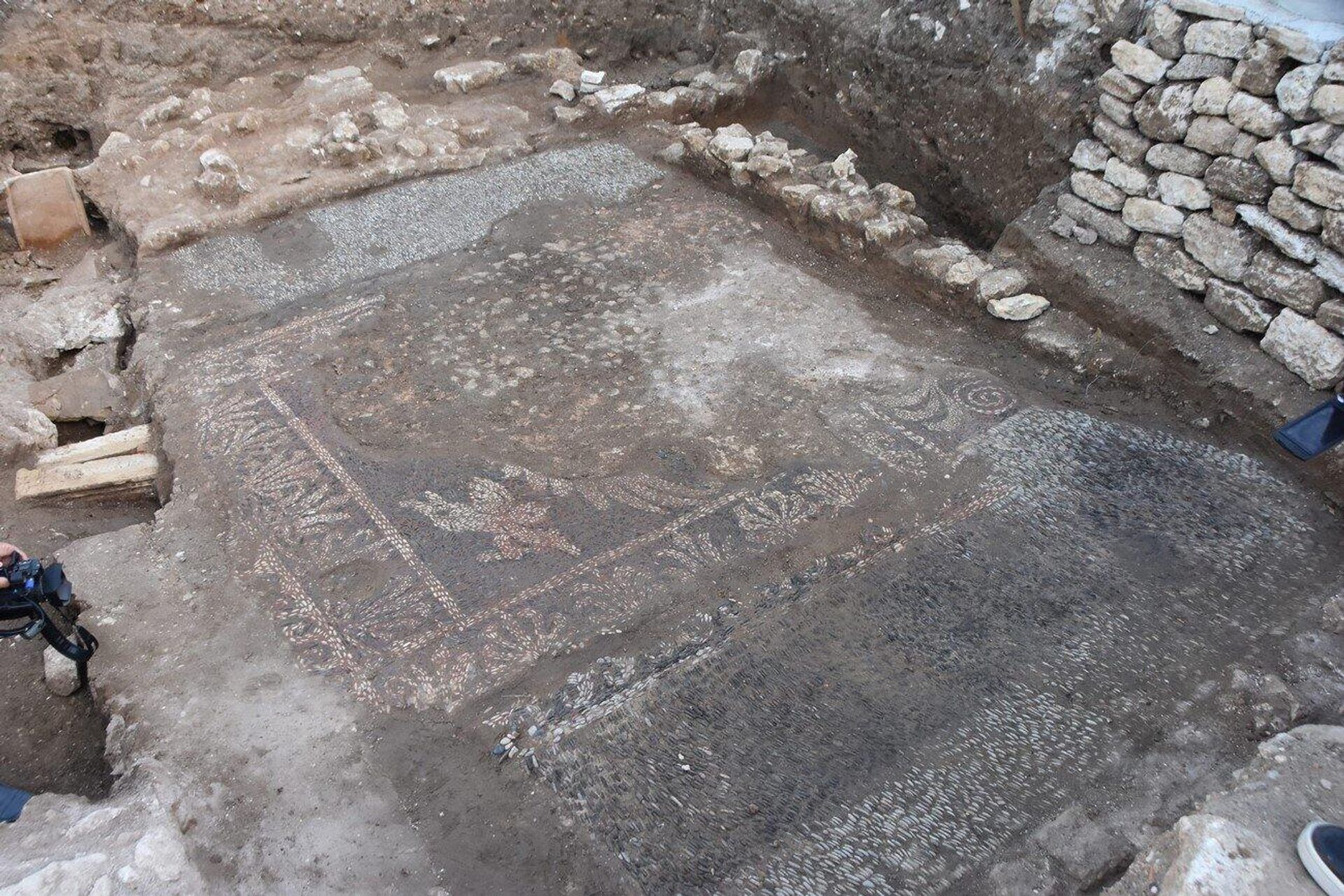 Mosaico de seixo pertencente ao período helenístico, na cidade de Sinop, em Turquia - Sputnik Brasil, 1920, 26.06.2023