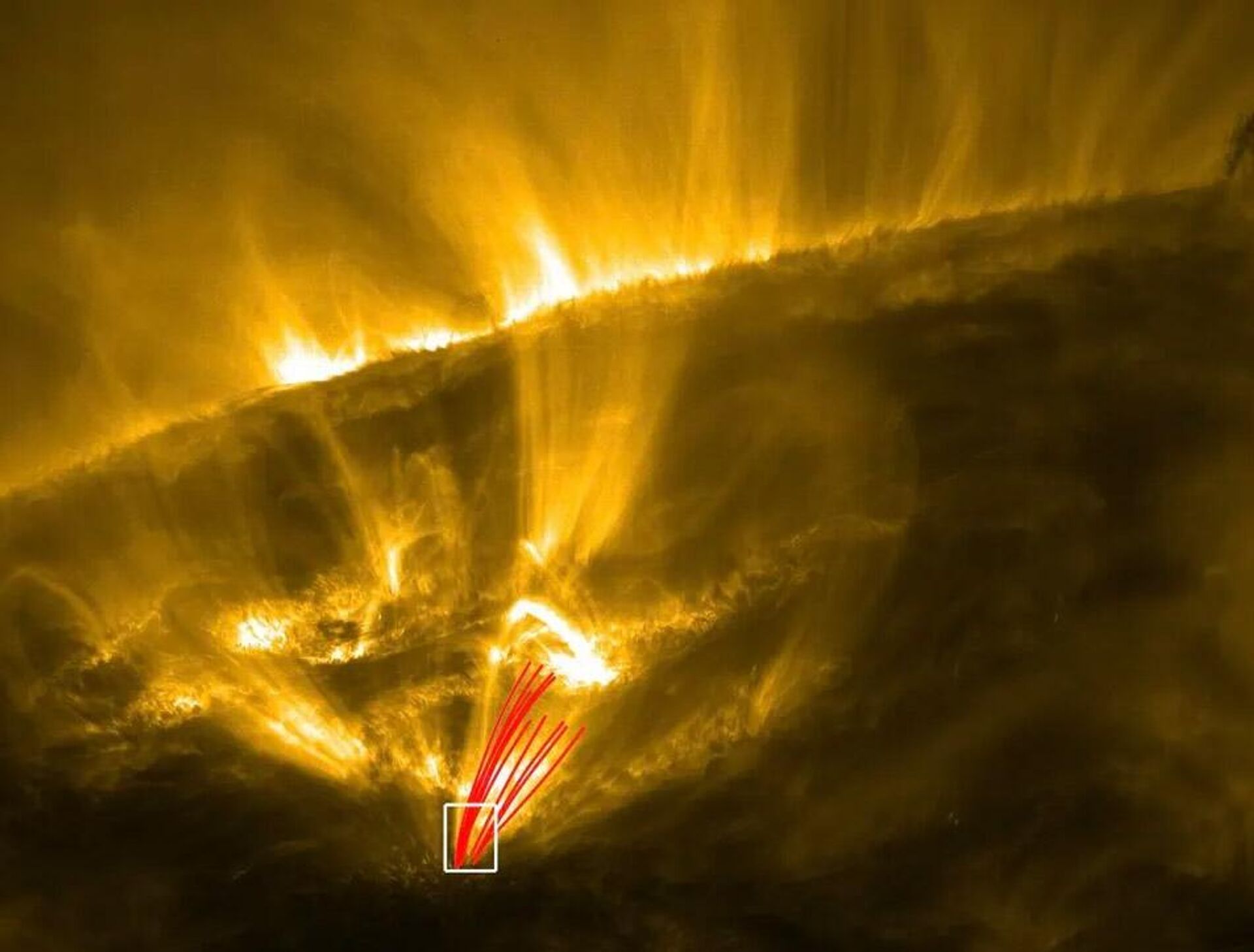 Imagens de bolas de fogo semelhante a meteoros foram detectadas em uma imagem da coroa solar, sua misteriosa atmosfera externa mais quente - Sputnik Brasil, 1920, 04.07.2023