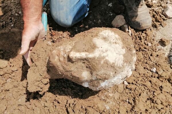 Uma cabeça de uma estátua de mármore descoberta durante escavações na Piazza Augusto Imperatore - Sputnik Brasil