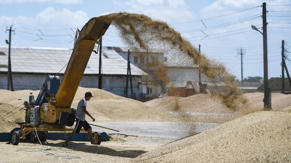 Transbordo de grãos no terminal de grãos no distrito de Krasnogvardeysky, na Crimeia, Rússia - Sputnik Brasil