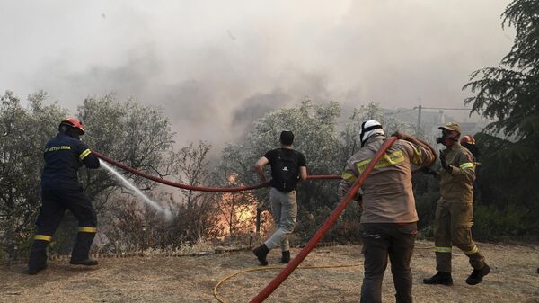 Bombeiros e voluntários tentam extinguir um incêndio florestal na cidade de Nea Anchialos, perto da cidade de Volos, Grécia central, 27 de julho de 2023 - Sputnik Brasil