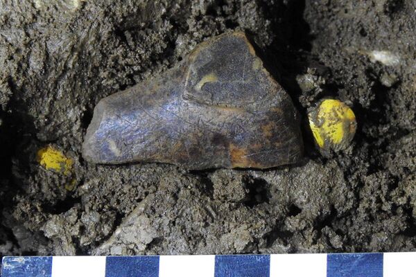 Fragmento de uma figura do Paleolítico descoberta na caverna de Hohle Fels, Alemanha - Sputnik Brasil