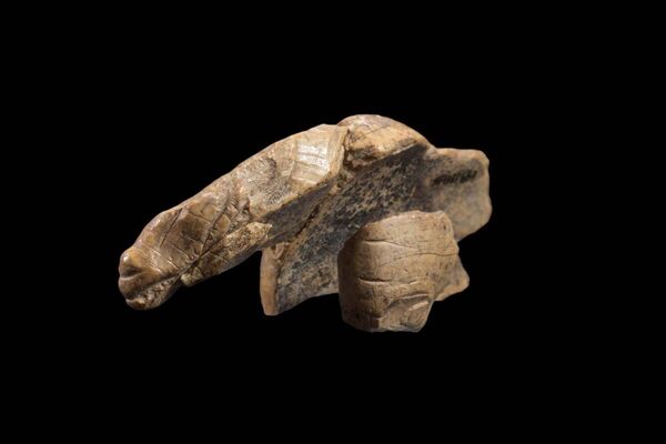 Figura feita a partir de presa de mamute descoberta na caverna de Hohle Fels, Alemanha - Sputnik Brasil