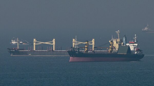 O cargueiro Super Bayern (C), transportando grãos ucranianos, navega na entrada do Bósforo, no mar Negro, na costa de Kumkoy, ao norte de Istambul, em 2 de novembro de 2022 - Sputnik Brasil