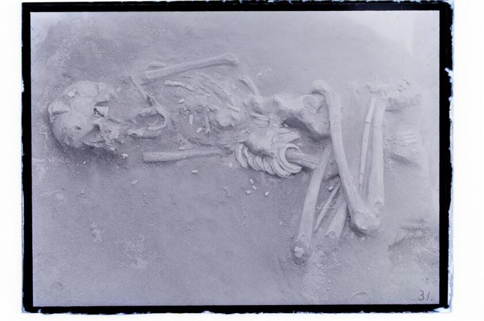 Um dos esqueletos pertencentes ao povo Hirota que foi desenterrado em um local na ilha japonesa de Tanegashima - Sputnik Brasil, 1920, 17.08.2023