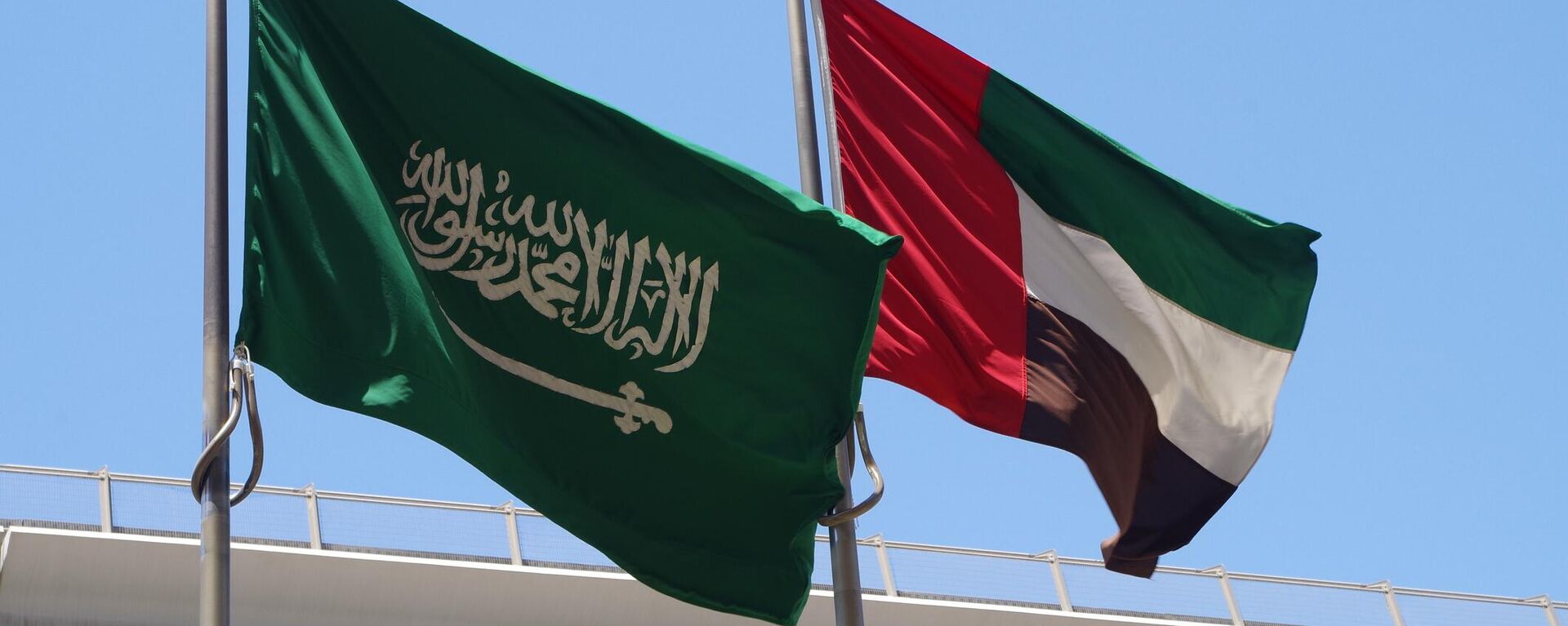 Bandeira da Arábia Saudita e dos Emirados Árabes Unidos - Sputnik Brasil, 1920, 11.11.2023