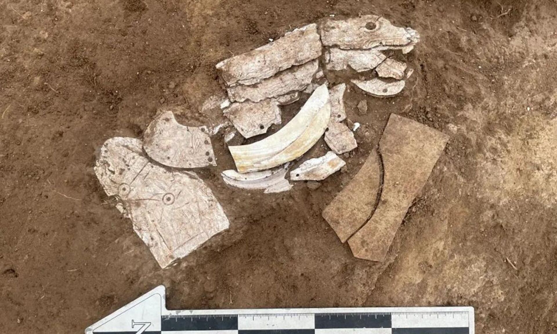 Dragão feito de conchas de mexilhão é encontrado por arqueólogos no sítio arqueológico de Caitaopo em Chifeng - Sputnik Brasil, 1920, 30.08.2023