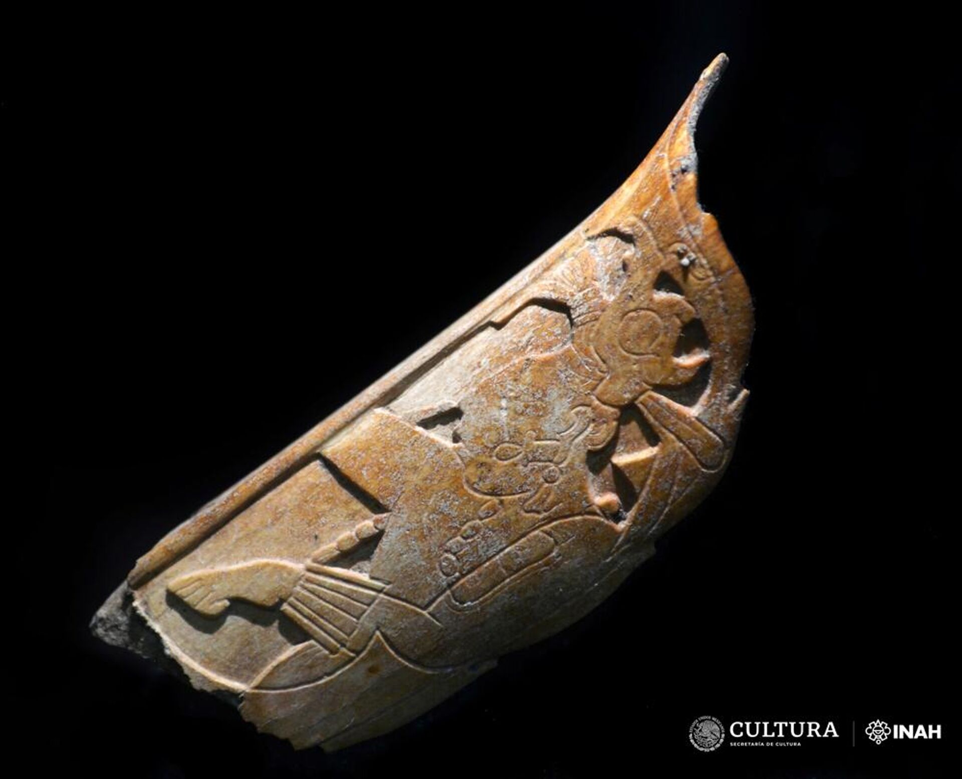 Anel nasal feito de osso humano é encontrado por arqueólogos no México - Sputnik Brasil, 1920, 31.08.2023
