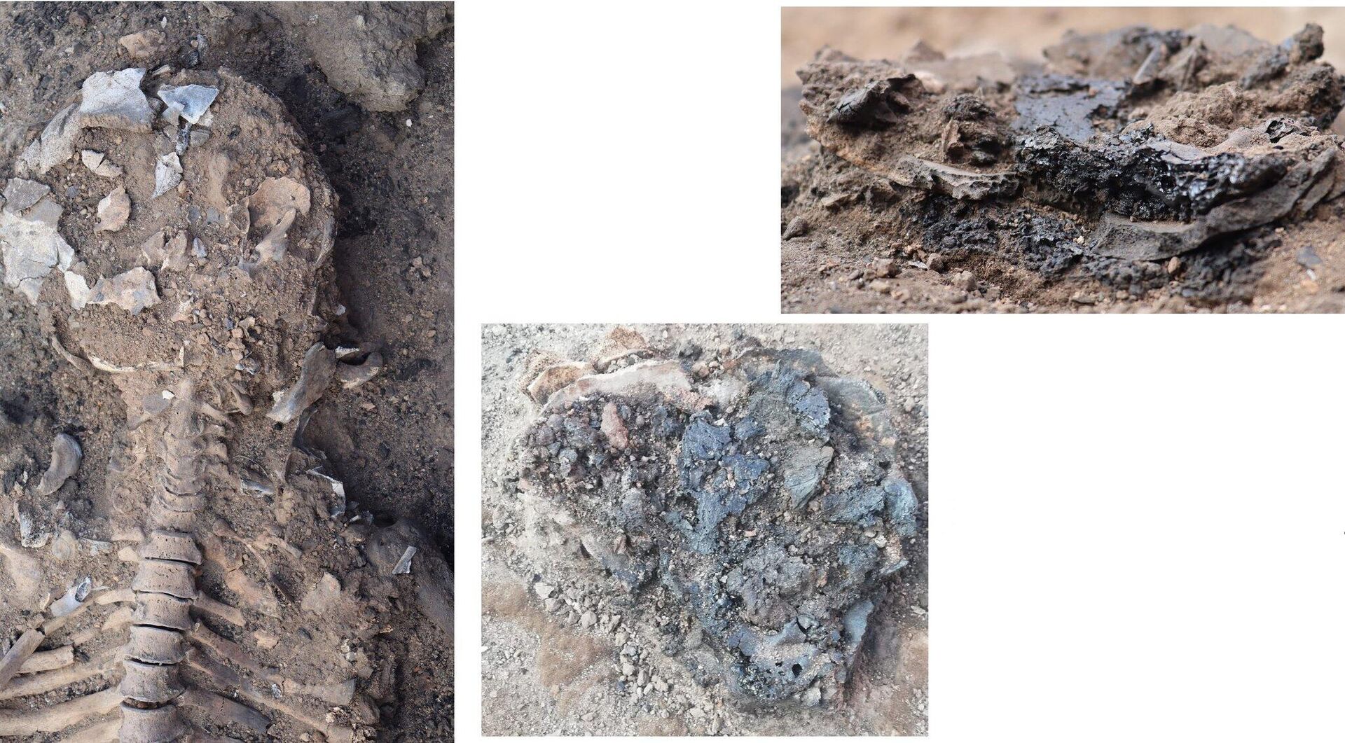 Restos de cérebro e pele de 3.700 anos são desenterrados em sítio na Turquia  - Sputnik Brasil, 1920, 05.09.2023