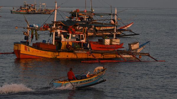 Navio de pescador filipino com seu cachorro de estimação passam por barcos de pesca ancorados perto do Scarborough Shoal, controlado por Pequim, no disputado mar do Sul da China, 21 de setembro de 2023 - Sputnik Brasil
