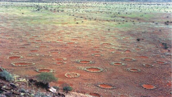 Fenômeno conhecido como círculos de fadas na Namíbia - Sputnik Brasil