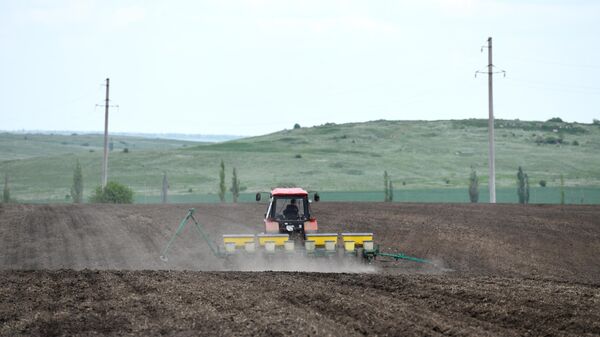 Fertilizantes são aplicados antes da semeadura de girassol no distrito de Starobeshevo, República Popular de Donetsk, foto publicada em 19 de maio de 2023 - Sputnik Brasil