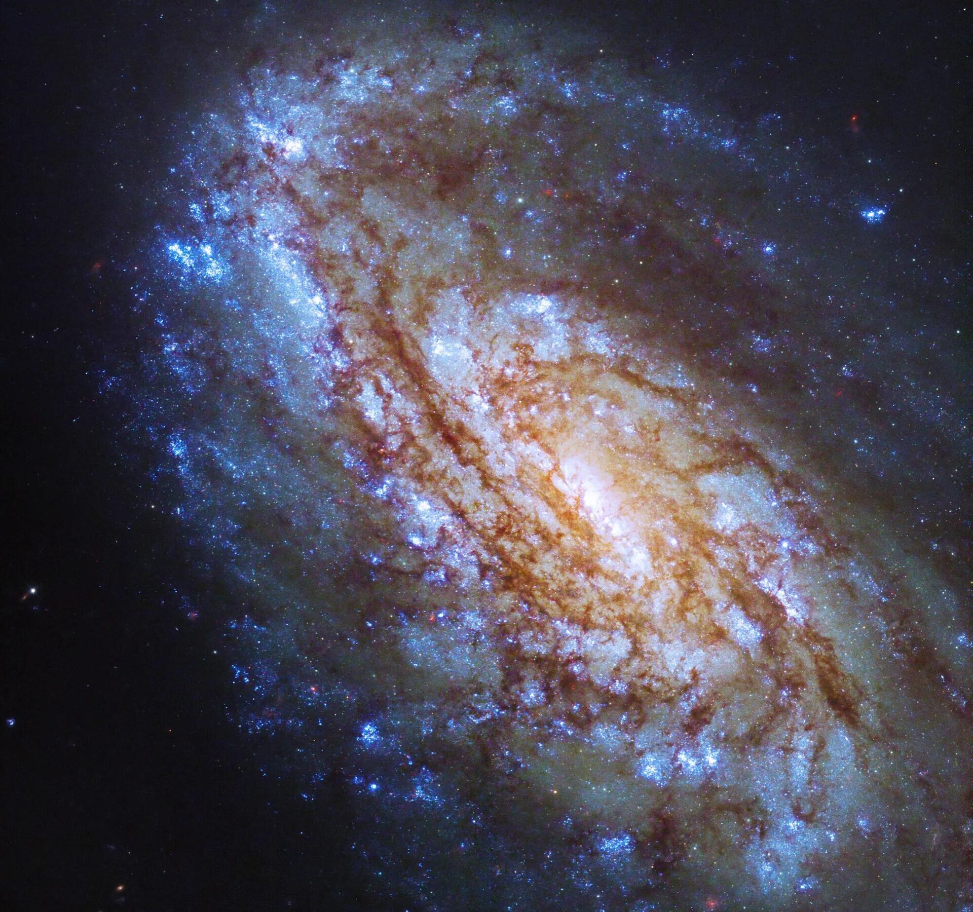 O Telescópio Espacial Hubble captou imagens da galáxia espiral intermediária NGC 4654, que está localizada a uma distância de 55 milhões de anos-luz da Terra, na constelação de Virgem - Sputnik Brasil, 1920, 04.10.2023