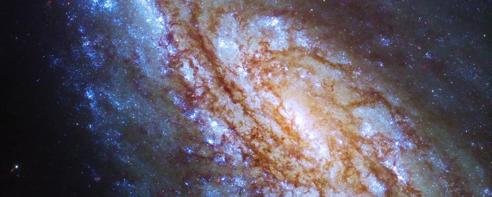 O Telescópio Espacial Hubble captou imagens da galáxia espiral intermediária NGC 4654, que está localizada a uma distância de 55 milhões de anos-luz da Terra, na constelação de Virgem - Sputnik Brasil, 1920, 05.10.2023
