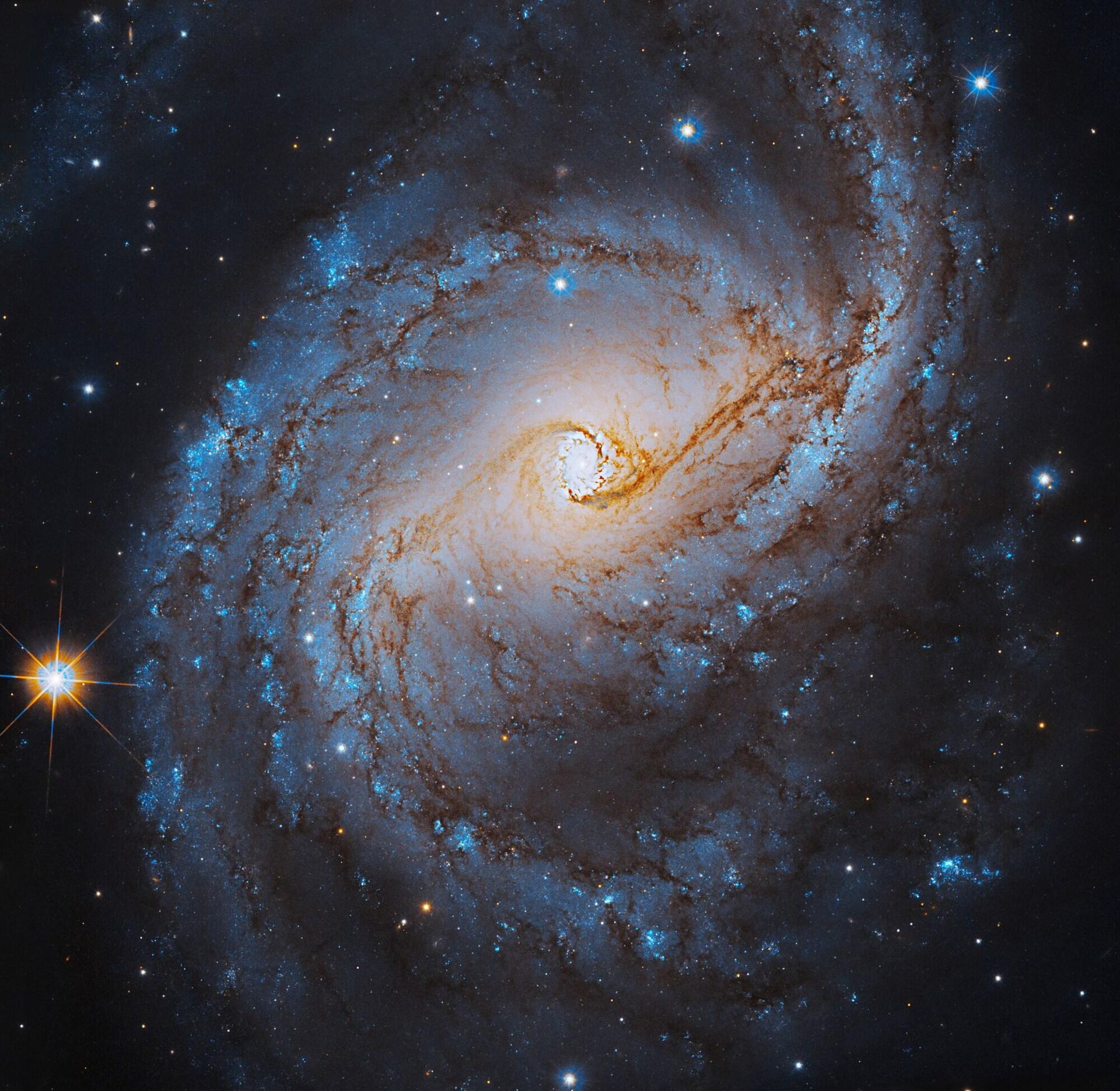 A imagem registrada pelo Telescópio Hubble da NASA mostra a galáxia Seyfert NGC 6951, localizada a 75 mil anos-luz da Terra, na constelação de Cepheus - Sputnik Brasil, 1920, 05.10.2023