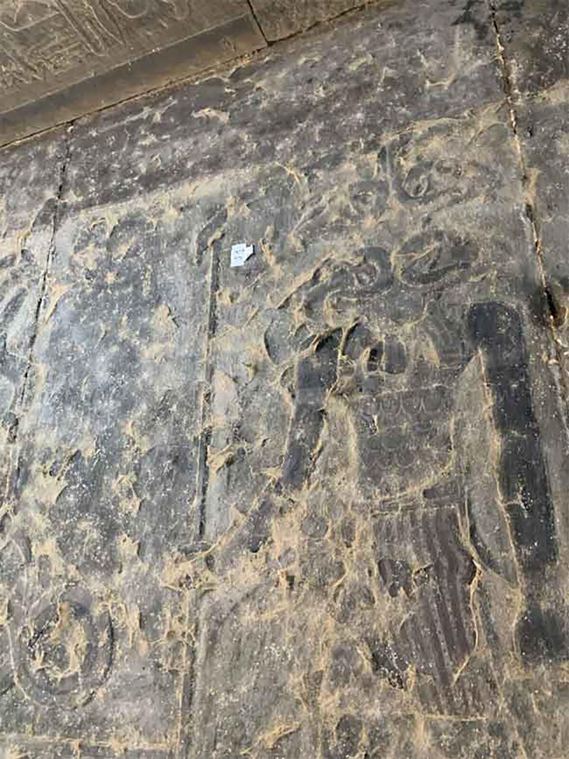 Relevos astroteológicos descobertos nos tetos e paredes do Templo de Esna, em Luxor, no Egito - Sputnik Brasil, 1920, 11.10.2023