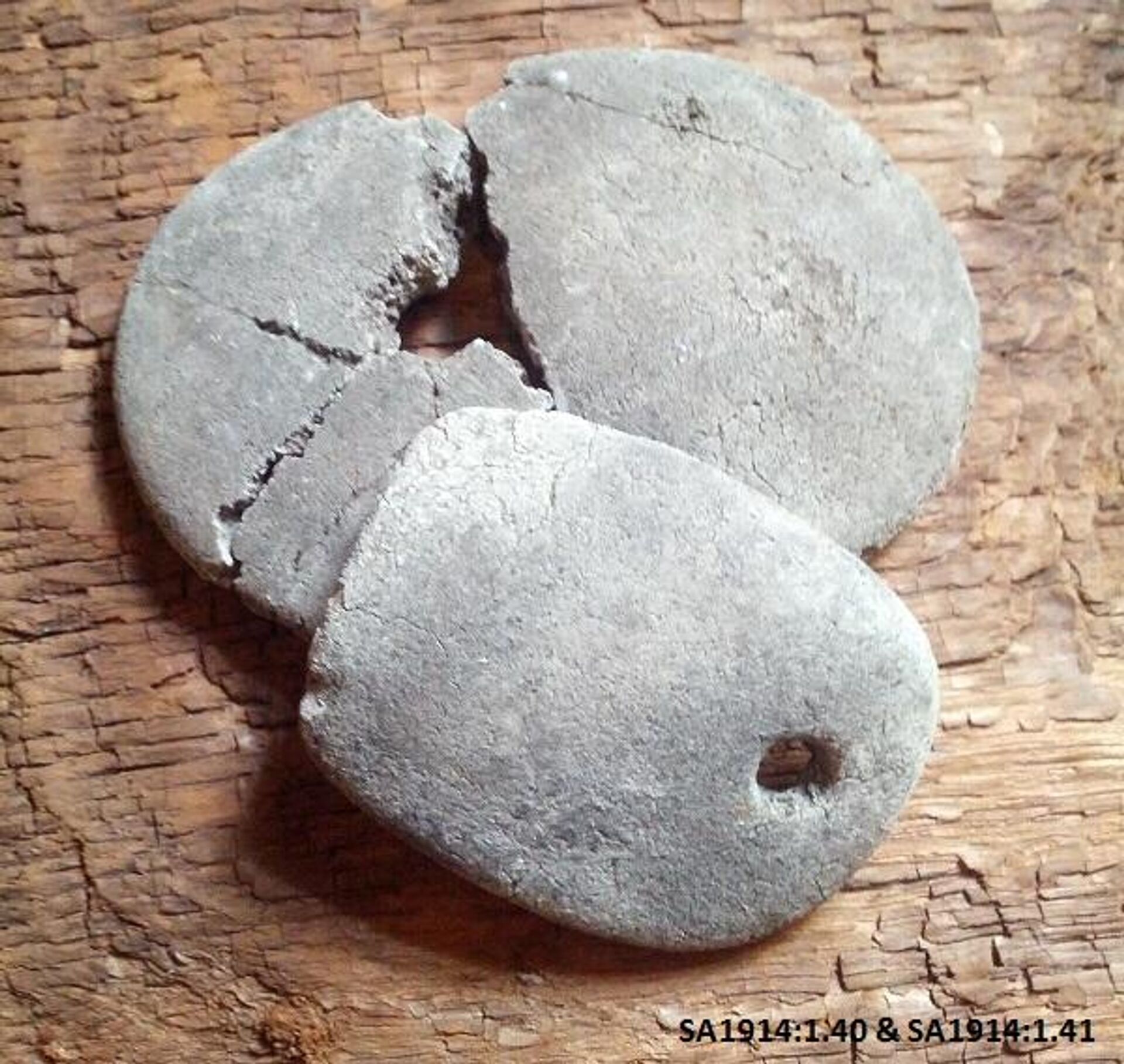 Amuletos feitos com pedaços de crânios de 5.500 anos dão pistas sobre crenças antigas - Sputnik Brasil, 1920, 15.10.2023