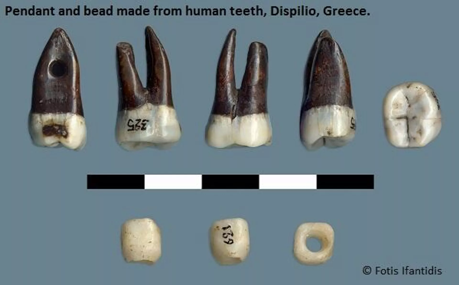 Amuletos feitos com pedaços de crânios de 5.500 anos dão pistas sobre crenças antigas - Sputnik Brasil, 1920, 15.10.2023