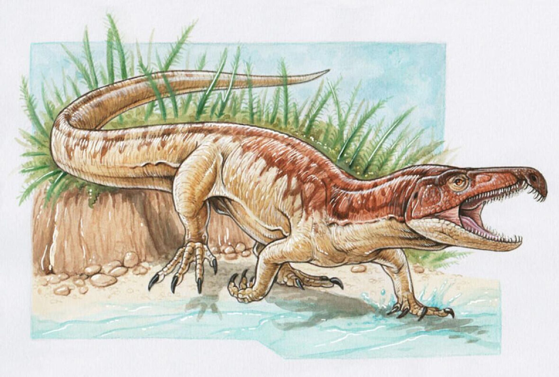 Representação da nova espécie pertence a um extinto grupo de animais conhecidos como Proterosuchidae e foi denominada Samsarasuchus pamelae - Sputnik Brasil, 1920, 25.10.2023