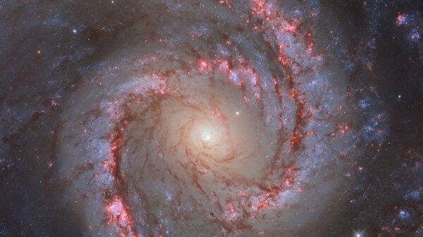 Galáxia espiral barrada NGC 1566 - Sputnik Brasil