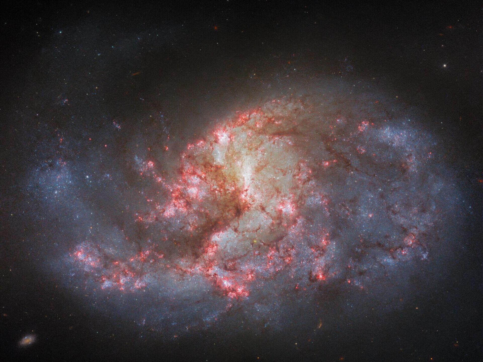 O emaranhado brilhante de estrelas e poeira constitui a galáxia espiral barrada NGC 1385, localizada a aproximadamente 30 milhões de anos-luz da Terra - Sputnik Brasil, 1920, 13.11.2023