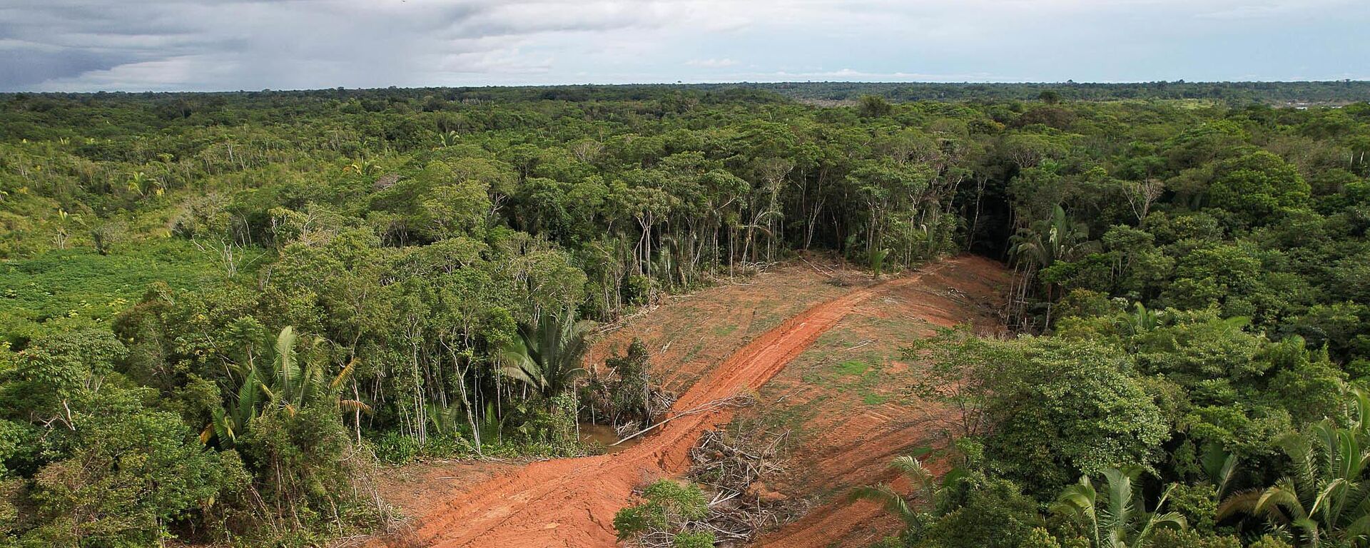 Vista aérea do início do trecho da rodovia AM 366, ao lado do aeroporto de Tapauá. Amazonas, 3 de junho de 2023 - Sputnik Brasil, 1920, 16.11.2023