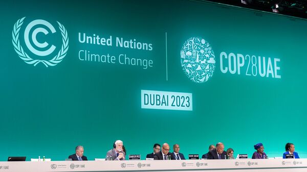 Primeiro dia na Conferência da ONU sobre Mudanças Climáticas (COP28), em Dubai, nos Emirados Árabes Unidos. 30 de novembro de 2023 - Sputnik Brasil