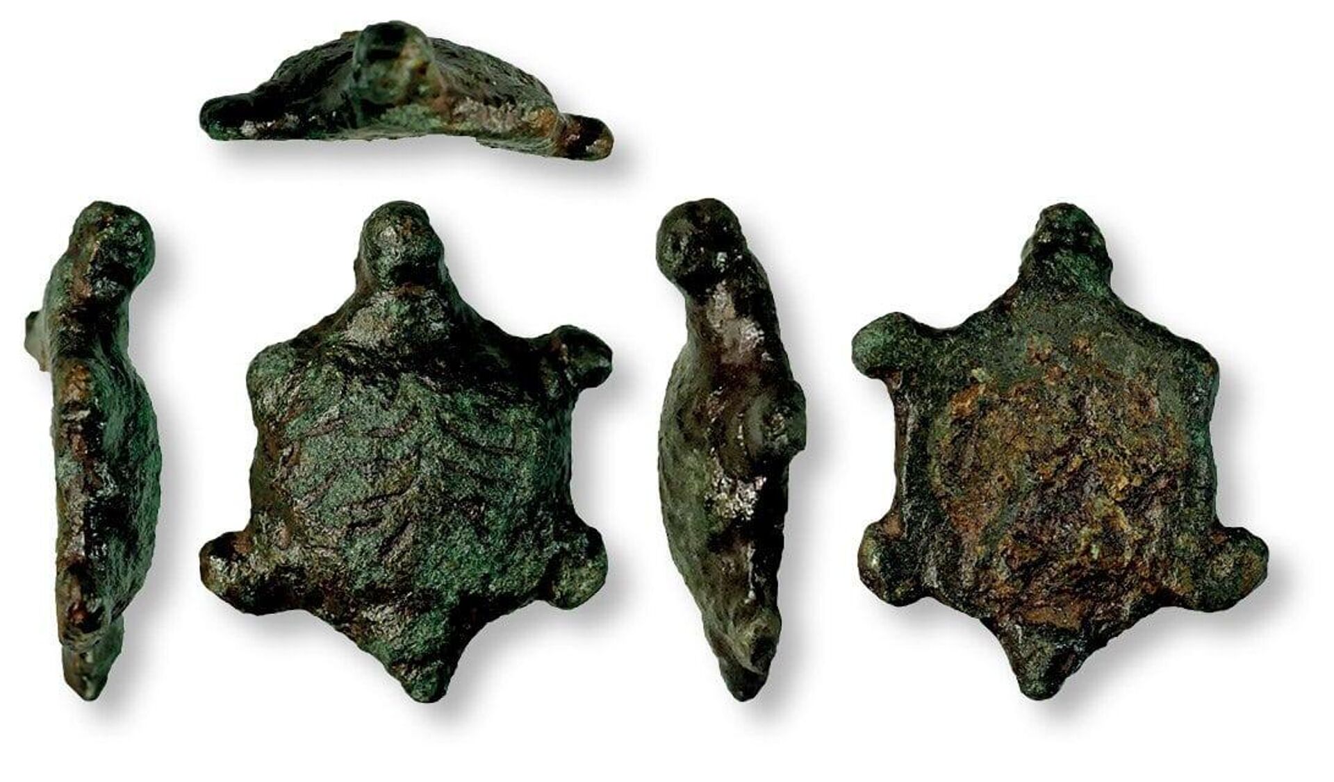 Estatueta de tartaruga do período romano de liga de cobre é descoberta na vila de Wickham Skeith, Reino Unido - Sputnik Brasil, 1920, 04.12.2023
