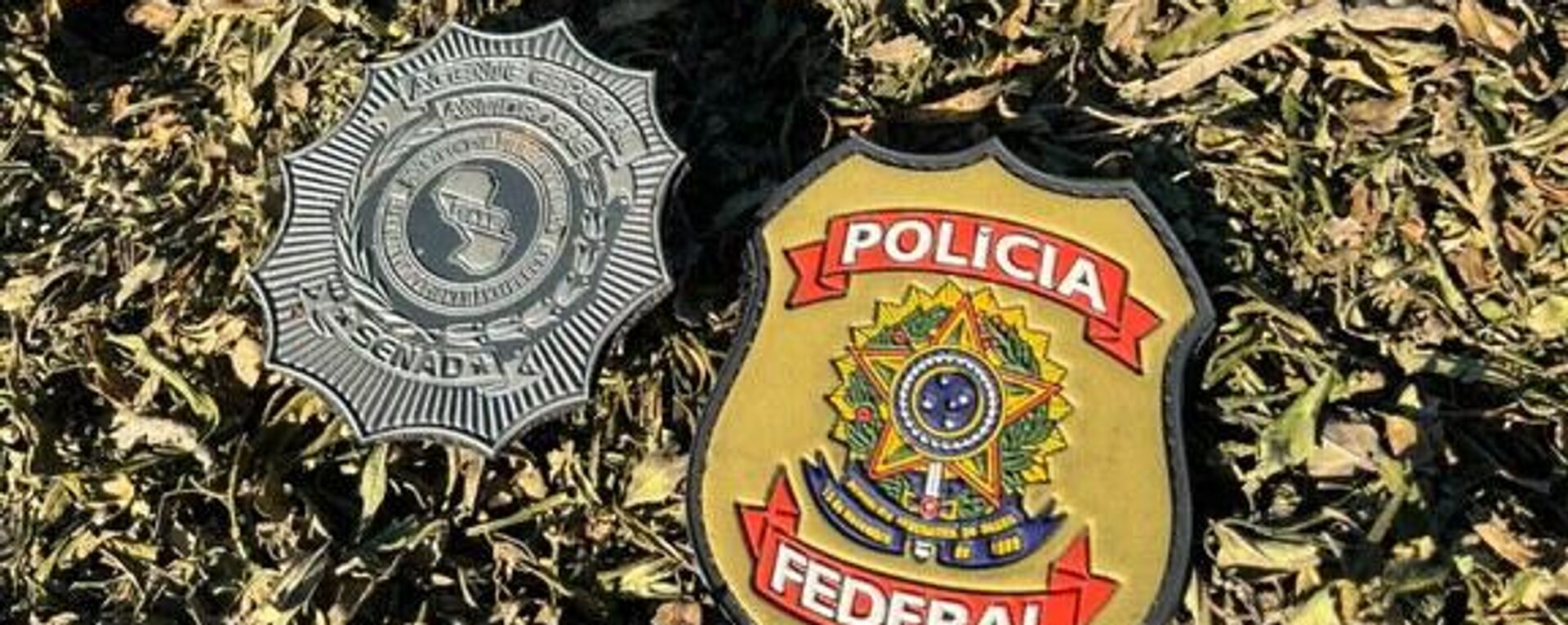 Emblemas da Polícia Federal (PF) e da Secretaria Nacional Antidrogas (SENAD), do Paraguai, dispostas sobre uma grande quantidade de maconha, na ocasião da destruição de cerca de 3.800 toneladas da droga, em dezembro de 2023 - Sputnik Brasil, 1920, 20.12.2023