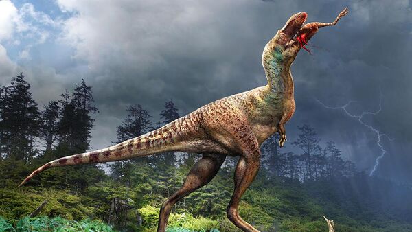 Impressão artística de gorgosaurus devorando um pequeno tricerátopo - Sputnik Brasil