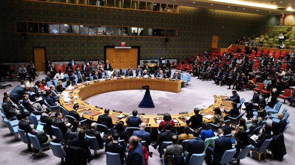 O Conselho de Segurança da Organização das Nações Unidas (ONU) se reúne para discutir a situação no Oriente Médio, incluindo a questão palestina, na sede da ONU, em Nova York, em 22 de dezembro de 2023 - Sputnik Brasil
