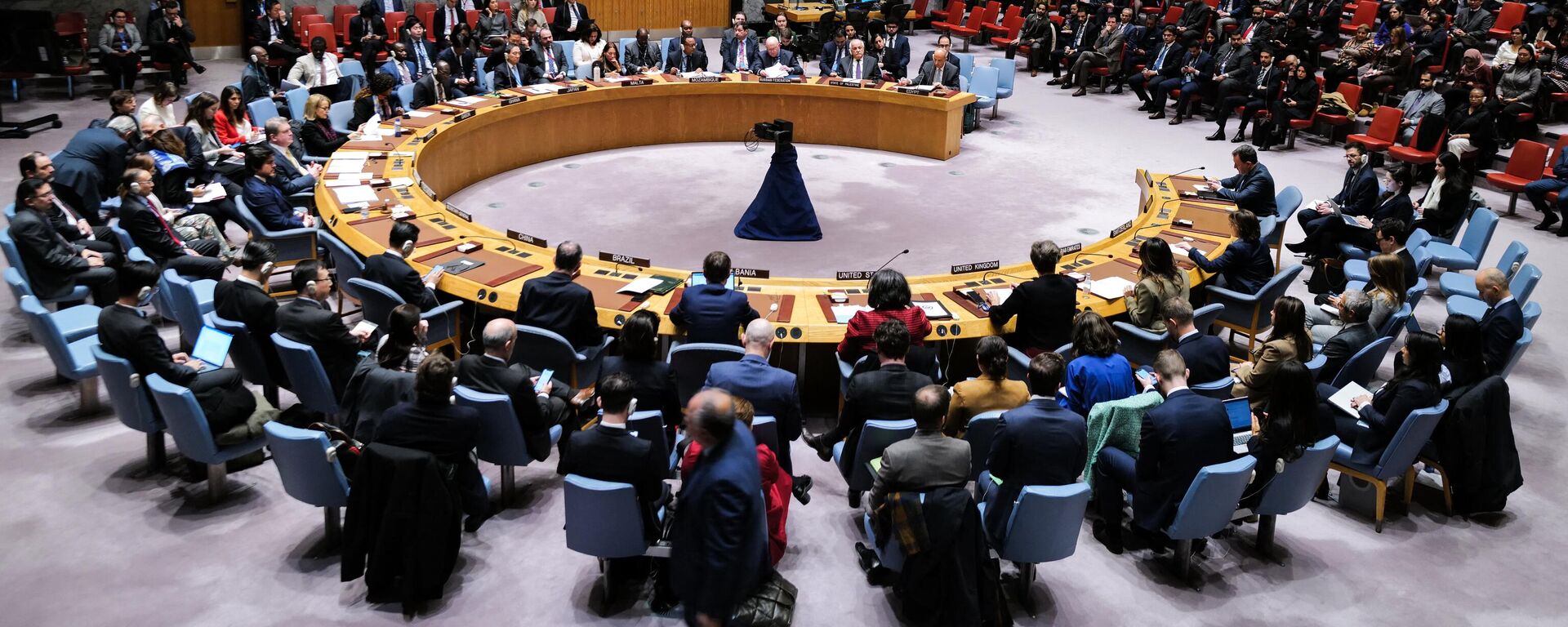 O Conselho de Segurança da Organização das Nações Unidas (ONU) se reúne para discutir a situação no Oriente Médio, incluindo a questão palestina, na sede da ONU, em Nova York, em 22 de dezembro de 2023 - Sputnik Brasil, 1920, 23.12.2023