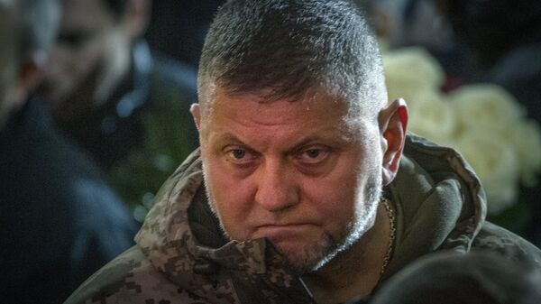 O comandante das Forças Armadas da Ucrânia, Valery Zaluzhny, presta homenagem às vítimas de um acidente mortal de helicóptero. Kiev, Ucrânia, 21 de janeiro de 2023 - Sputnik Brasil