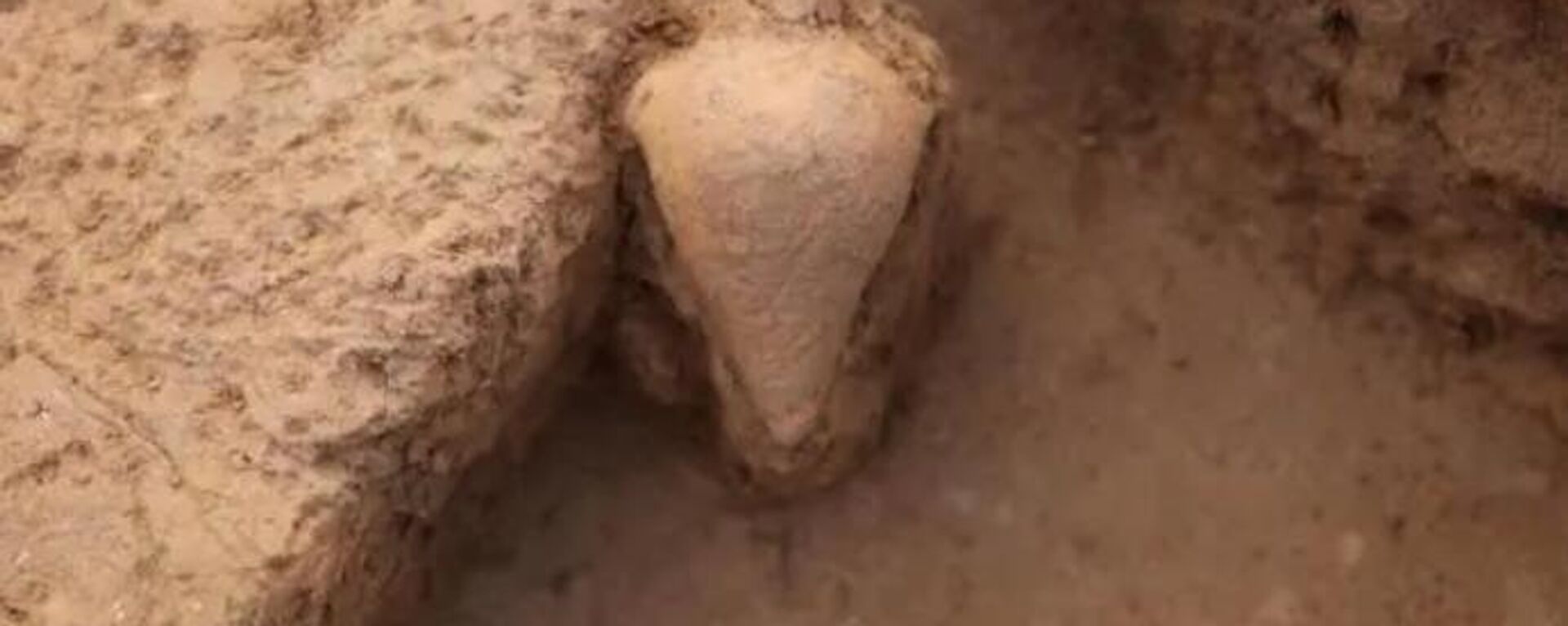 Uma garrafa com mais de 7.000 anos foi descoberta no sítio Peiligang, na cidade de Xinzheng, província de Henan, no centro da China - Sputnik Brasil, 1920, 08.01.2024