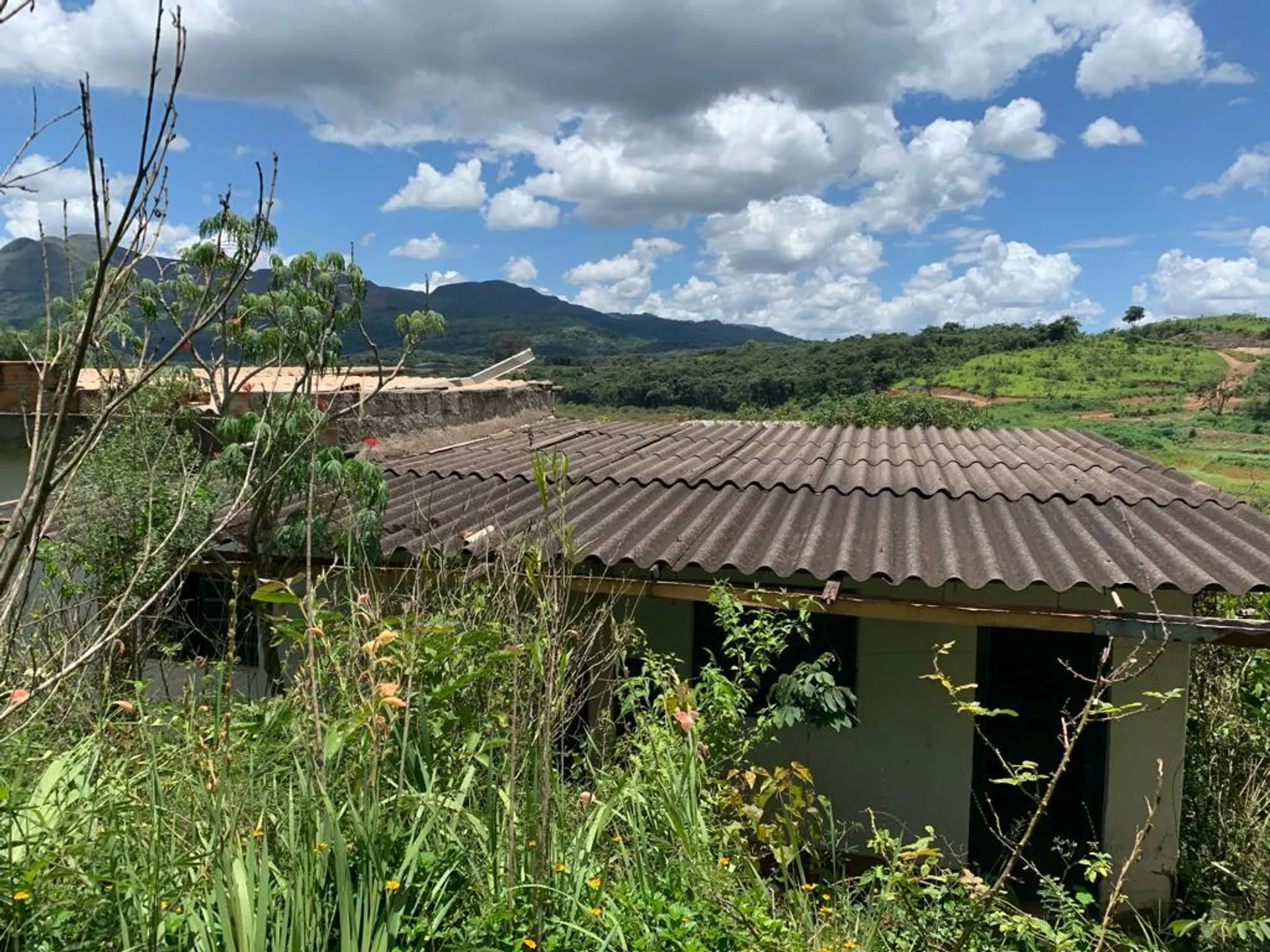 Casa tomada pelo mato em área próxima ao caminho da lama de rejeitos da Vale até o rio Paraopeba. Brumadinho, janeiro de 2021 - Sputnik Brasil, 1920, 22.01.2024