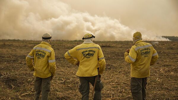 Brigadistas do ICMBio observam cortina de fumaça por conta do incêndio florestal que atinge o Pantanal, em Porto Jofre. Mato Grosso, 19 de novembro de 2023 - Sputnik Brasil