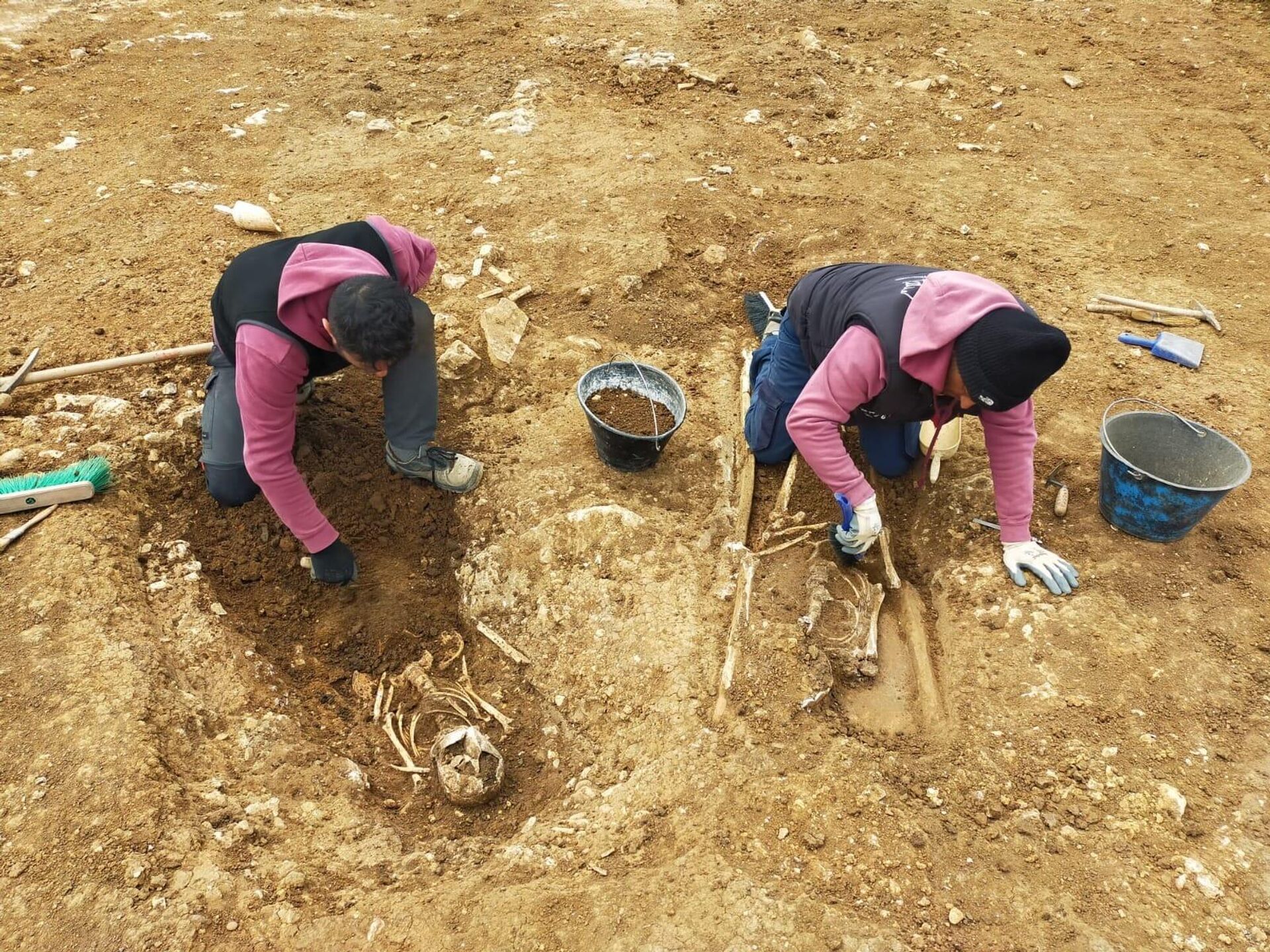 Escavação arqueológica conduzida na necrópole em Tuscania, Itália - Sputnik Brasil, 1920, 02.02.2024