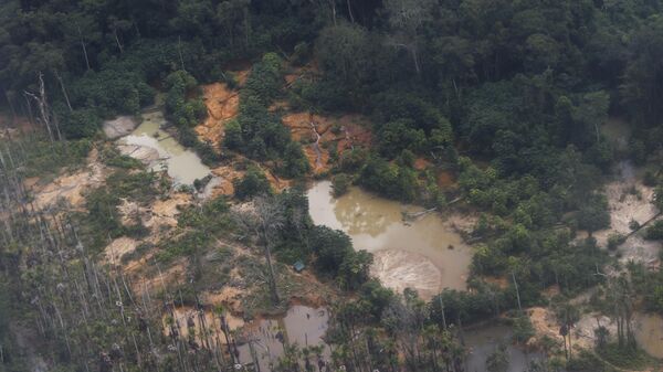 Áreas de garimpo ilegal na terra indígena Yanomami vistas em sobrevoo ao longo do rio Mucajaí, em Alto Alegre. Roraima, 9 de fevereiro de 2023 - Sputnik Brasil