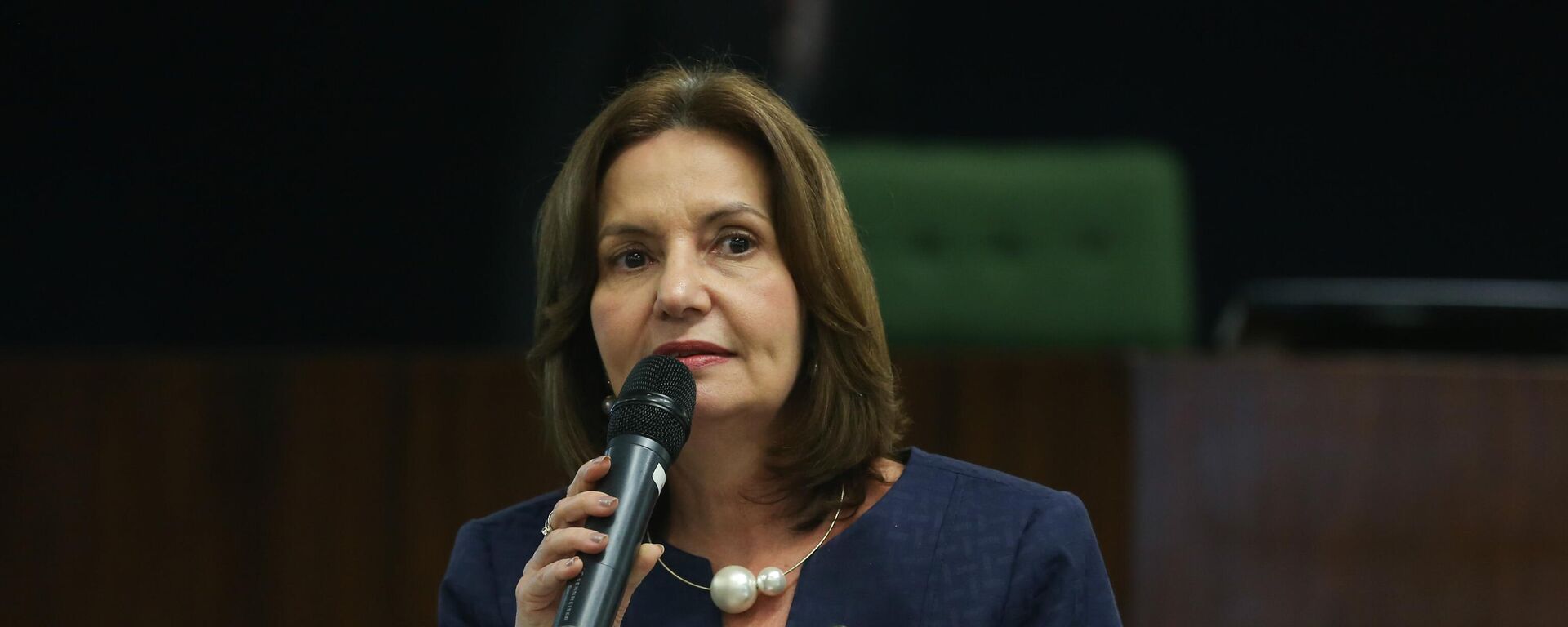Martha Rocha debate os dez anos da Lei Maria da Penha, em Brasília (DF). Brasil, 11 de agosto de 2016 - Sputnik Brasil, 1920, 08.03.2024