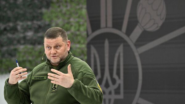 Valery Zaluzhny, comandante-chefe das Forças Armadas da Ucrânia, fala durante coletiva de imprensa em Kiev, Ucrânia, 26 de dezembro de 2023 - Sputnik Brasil