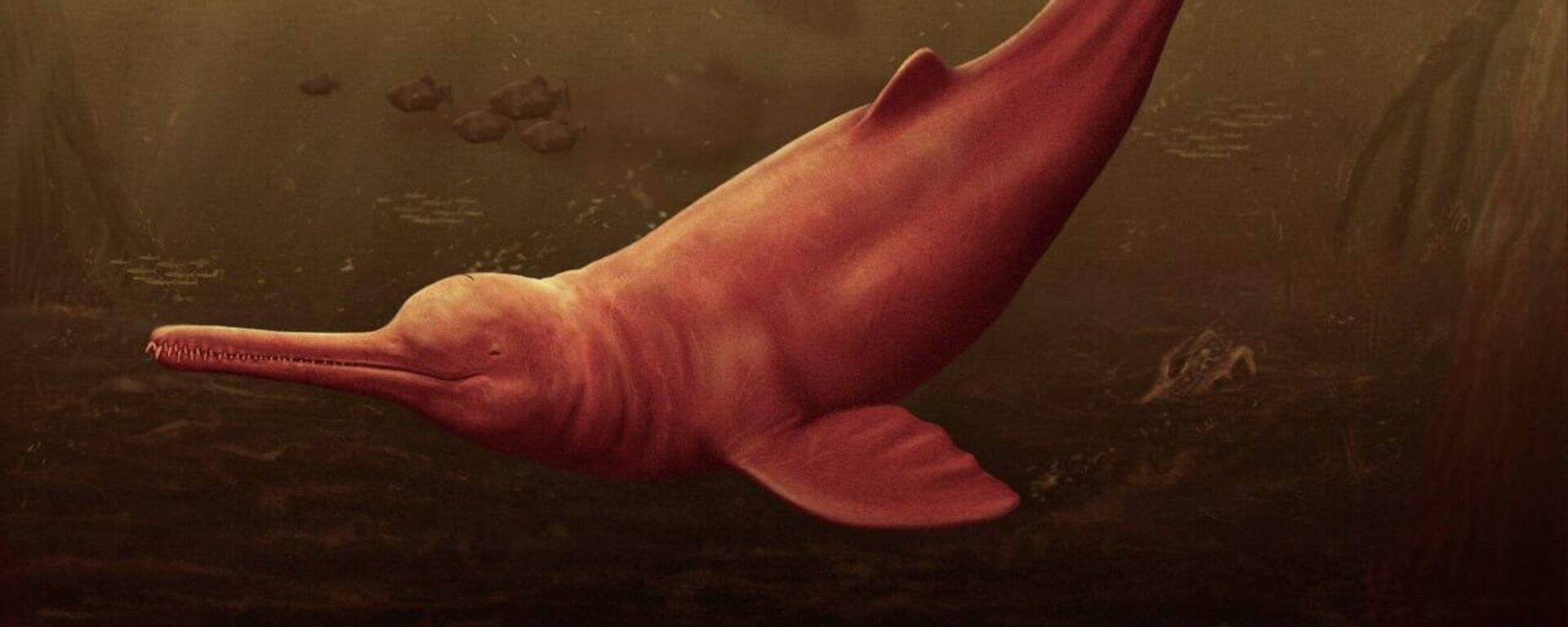 Reconstrução artística da espécie de golfinho de água doce que viveu há 16 milhões de anos na Amazônia peruana - Sputnik Brasil, 1920, 20.03.2024